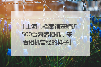 上海市档案馆获赠近500台海鸥相机，来看相机曾经的样子