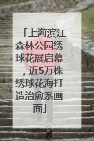 上海滨江森林公园绣球花展启幕，近5万株绣球花海打造治愈系画面
