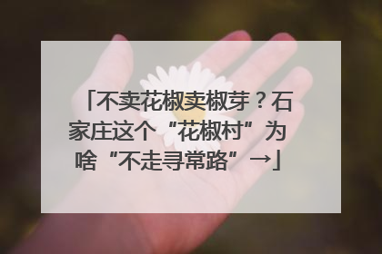 不卖花椒卖椒芽？石家庄这个“花椒村”为啥“不走寻常路”→