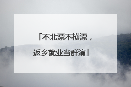 不北漂不横漂，返乡就业当群演