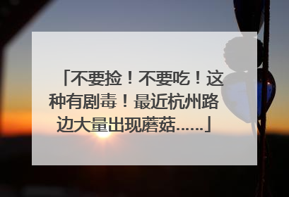 不要捡！不要吃！这种有剧毒！最近杭州路边大量出现蘑菇……