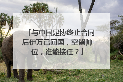 与中国足协终止合同后伊万已回国，空留帅位，谁能接任？