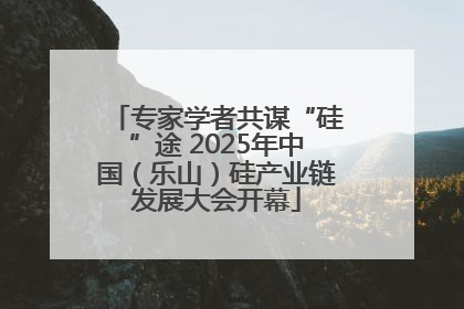 专家学者共谋“硅”途 2025年中国（乐山）硅产业链发展大会开幕