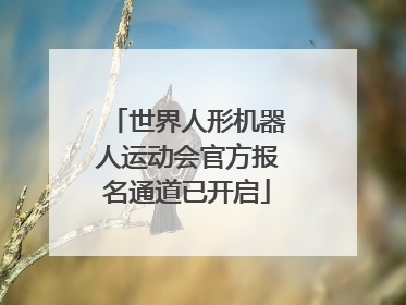 世界人形机器人运动会官方报名通道已开启