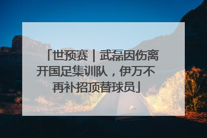 世预赛｜武磊因伤离开国足集训队，伊万不再补招顶替球员