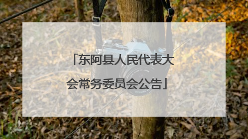 东阿县人民代表大会常务委员会公告