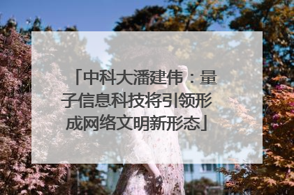 中科大潘建伟：量子信息科技将引领形成网络文明新形态
