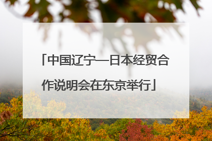 中国辽宁—日本经贸合作说明会在东京举行