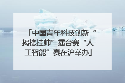 中国青年科技创新“揭榜挂帅”擂台赛“人工智能”赛在沪举办