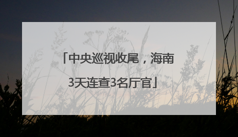中央巡视收尾，海南3天连查3名厅官
