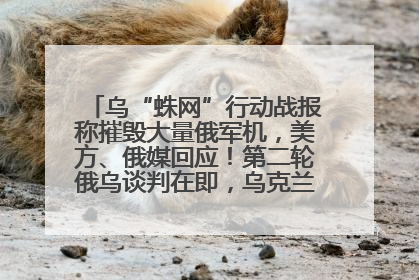 乌“蛛网”行动战报称摧毁大量俄军机，美方、俄媒回应！第二轮俄乌谈判在即，乌克兰提出三大诉求
