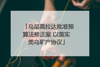 乌最高拉达批准预算法修正案 以落实美乌矿产协议