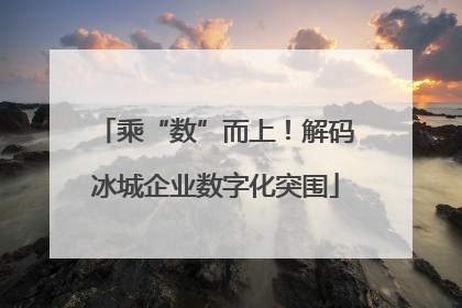 乘“数”而上！解码冰城企业数字化突围