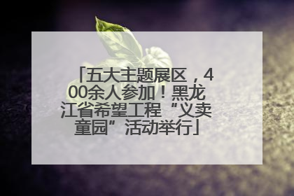 五大主题展区，400余人参加！黑龙江省希望工程“义卖童园”活动举行