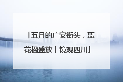 五月的广安街头，蓝花楹盛放丨镜观四川
