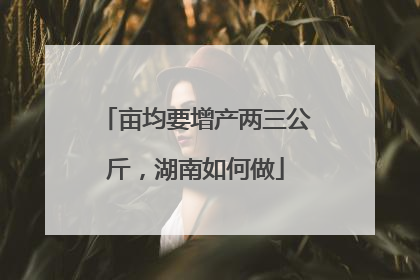 亩均要增产两三公斤，湖南如何做