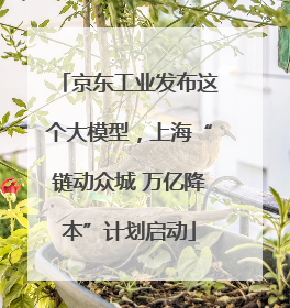 京东工业发布这个大模型，上海“链动众城 万亿降本”计划启动