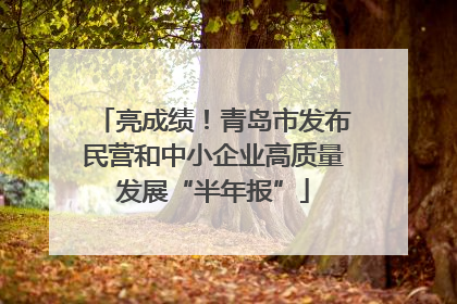 亮成绩！青岛市发布民营和中小企业高质量发展“半年报”