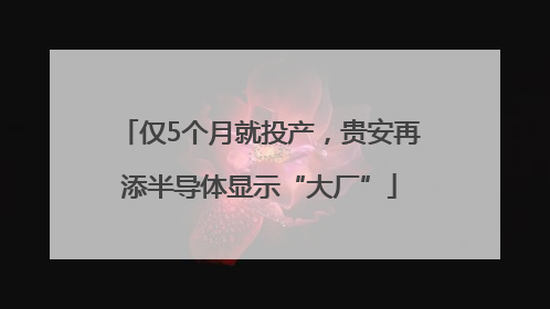 仅5个月就投产，贵安再添半导体显示“大厂”