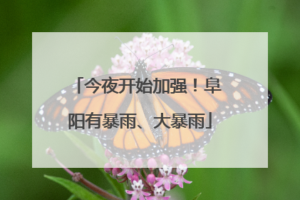 今夜开始加强！阜阳有暴雨、大暴雨