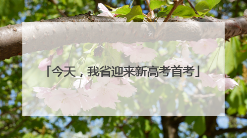 今天，我省迎来新高考首考
