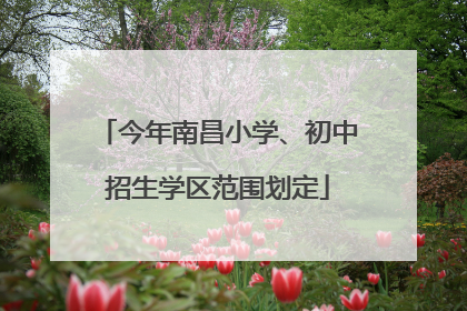 今年南昌小学、初中招生学区范围划定