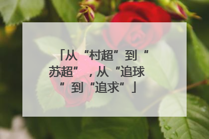 从“村超”到“苏超”，从“追球”到“追求”