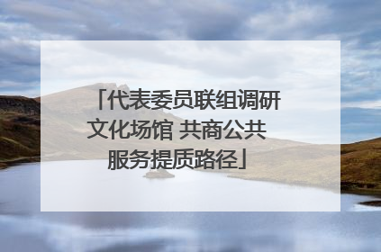 代表委员联组调研文化场馆 共商公共服务提质路径