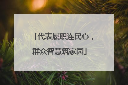代表履职连民心，群众智慧筑家园