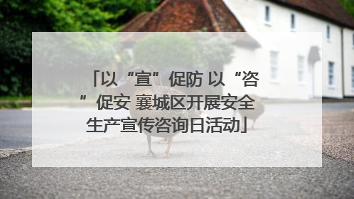 以“宣”促防 以“咨”促安 襄城区开展安全生产宣传咨询日活动