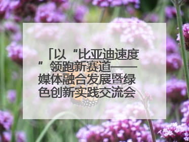 以“比亚迪速度”领跑新赛道——媒体融合发展暨绿色创新实践交流会首站走进比亚迪