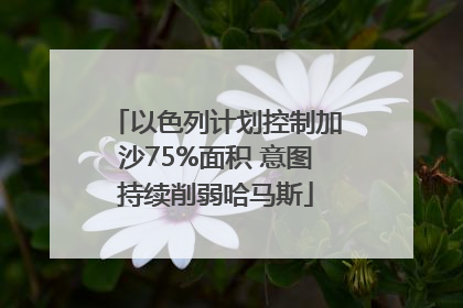 以色列计划控制加沙75%面积 意图持续削弱哈马斯