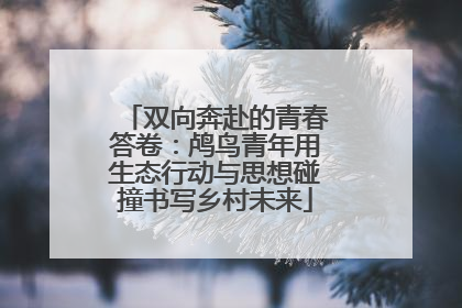 双向奔赴的青春答卷：鸬鸟青年用生态行动与思想碰撞书写乡村未来