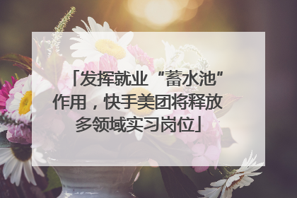 发挥就业“蓄水池”作用，快手美团将释放多领域实习岗位