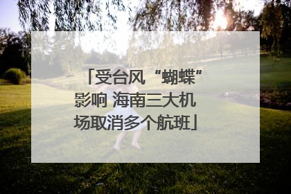 受台风“蝴蝶”影响 海南三大机场取消多个航班