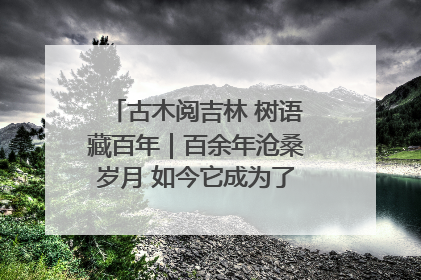 古木阅吉林 树语藏百年｜百余年沧桑岁月 如今它成为了“镇园之宝”