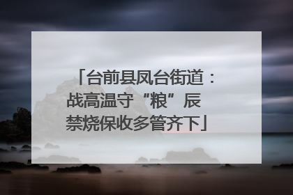 台前县凤台街道：战高温守“粮”辰 禁烧保收多管齐下