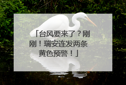 台风要来了？刚刚！瑞安连发两条黄色预警！