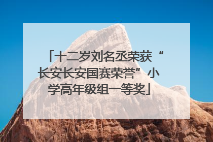 十二岁刘名丞荣获“长安长安国赛荣誉”小学高年级组一等奖