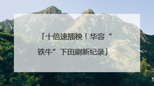 十倍速插秧！华容“铁牛”下田刷新纪录