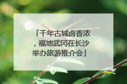 千年古城卤香浓，福地武冈在长沙举办旅游推介会
