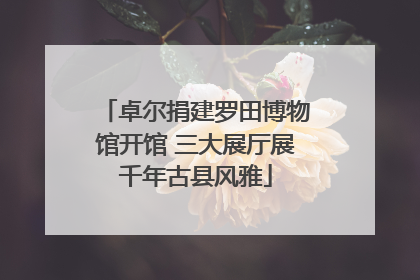 卓尔捐建罗田博物馆开馆 三大展厅展千年古县风雅