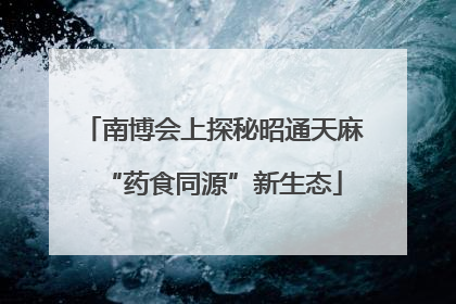 南博会上探秘昭通天麻“药食同源”新生态