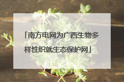 南方电网为广西生物多样性织就生态保护网