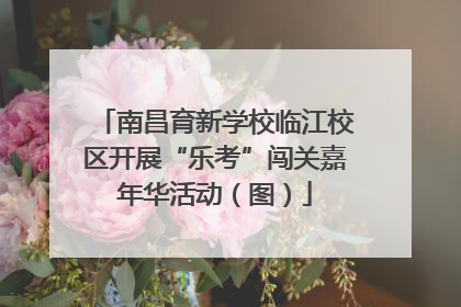 南昌育新学校临江校区开展“乐考”闯关嘉年华活动（图）