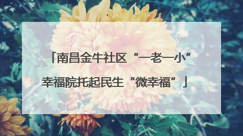 南昌金牛社区“一老一小”幸福院托起民生“微幸福”