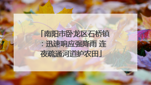 南阳市卧龙区石桥镇：迅速响应强降雨 连夜疏通河道护农田