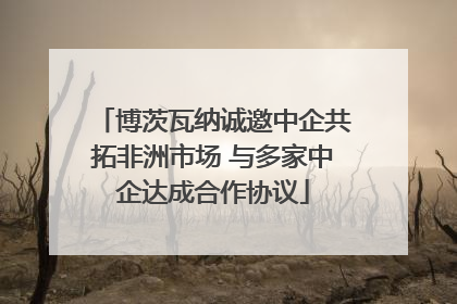 博茨瓦纳诚邀中企共拓非洲市场 与多家中企达成合作协议