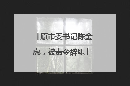 原市委书记陈金虎，被责令辞职