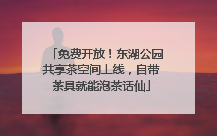 免费开放！东湖公园共享茶空间上线，自带茶具就能泡茶话仙